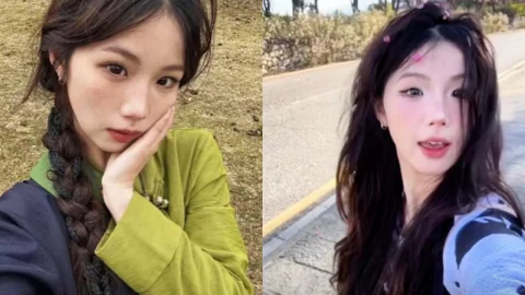 白兰鸽富哥视频